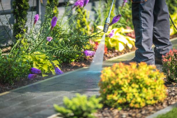  Salida, CA Pressure Washing Pros